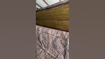 Loving this boat Blind | @beavertailproducts6571 #beavertail #boats #duckhunting