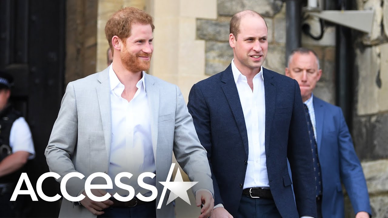Prince William Feels 'Sadness' Over Royal Rift With Prince Harry: 'We're Separate Entities' (Report)