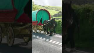 Appleby Horse Fair 2019....On The Way There - Coming Down From Fell End.