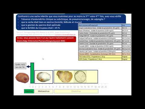 Vidéo: Quelles sont les hormones responsables de l'oestrus chez les animaux de ferme ?