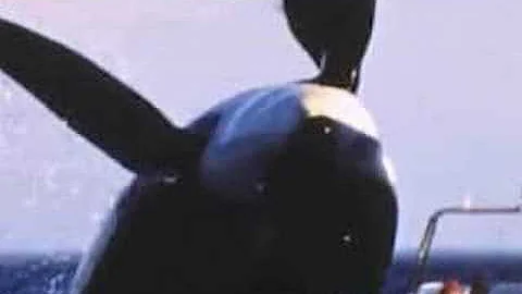Hayden Panettiere Save The Whales Again! Sponsored...