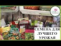 ПОРА ЗАПАСАТЬ СЕМЕНА. НА ЧТО ОБРАТИТЬ ВНИМАНИЕ