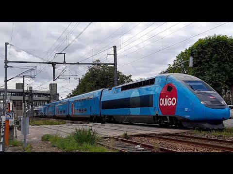 Des Trains Dans Le Morbihan (56) - Juillet 2021 (Partie 1).