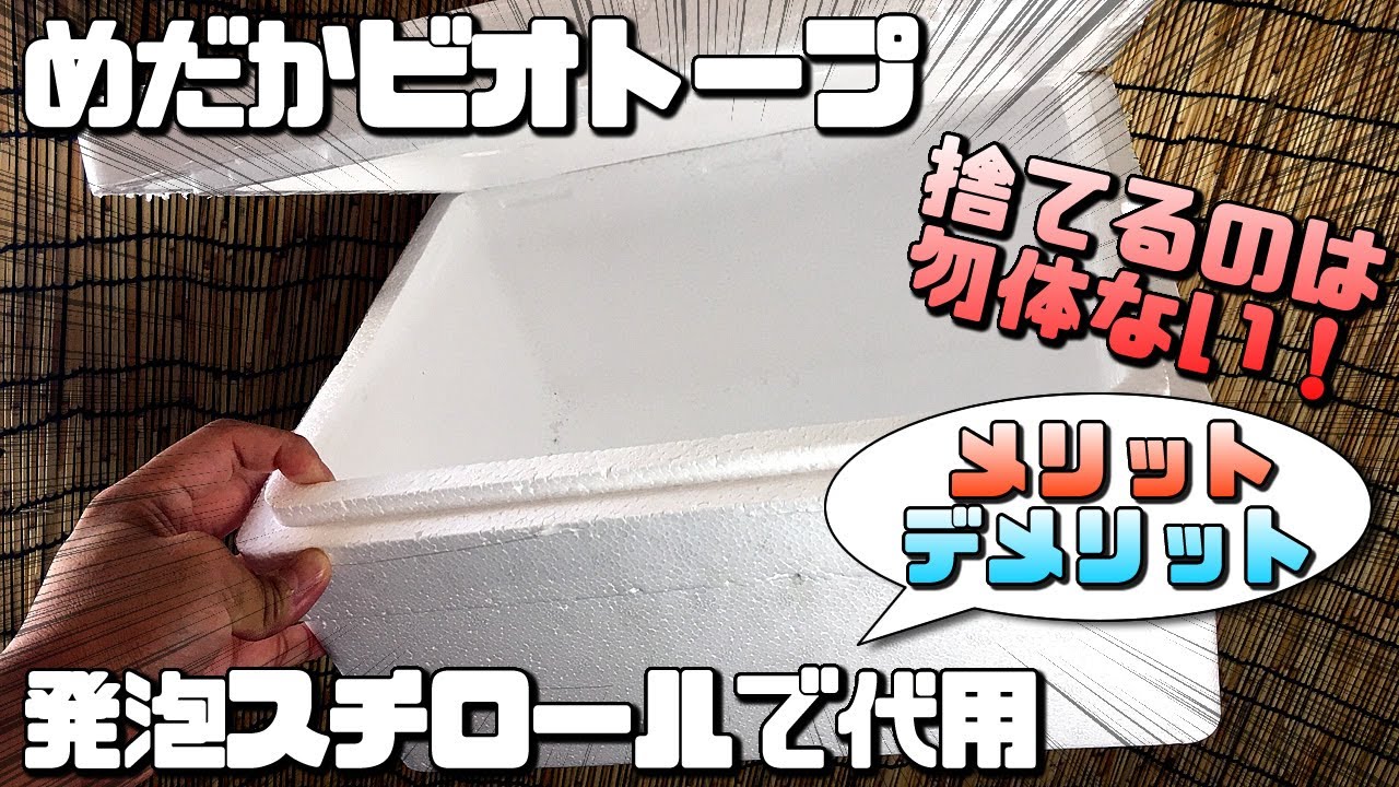 メダカのビオトープを余った発泡スチロールで立ち上げるメリットとデメリット 初心者でも簡単 Youtube