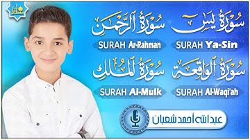 من أجمل وأروع تلاوات القارئ عبدالله احمد شعبان 💙 وكأن صوتة نزل من السماء | تسجيل حصري بجودة عالية 🎧