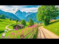 Restore the Nervous System 🌿 Soothing Music, Relaxing Nature Sounds Help Relieve Stress & Recharge