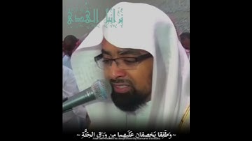 ~ فَدَلّاهُما بِغُرورٍ~ تلاوة خاشعة 💔😔 الشيخ ناصر القطامي