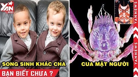 25 Sự Thật Khó Tin, Tưởng Hư Cấu Nhưng Lại Có Thật