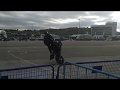 stunt show circuito de jerez 2018 (emperador racing) JON STUNT