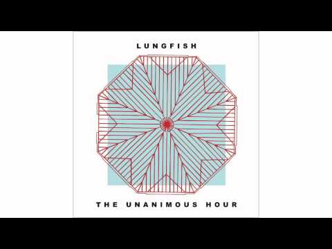 Punk music video thumbnail preview for Lungfish - Searchlight