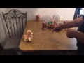 wooden Duck / wooden pull Toy by John Davis / wooden lock and key wooden Duck / wooden pull Toy by John Davis / wooden lock and key