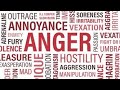 Anger  the language of feelings  david viscott