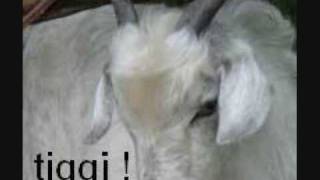 Kalash Nikov To The Maximum Part 2