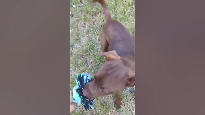 My 8 year old playing with her almost 8 month old ...
