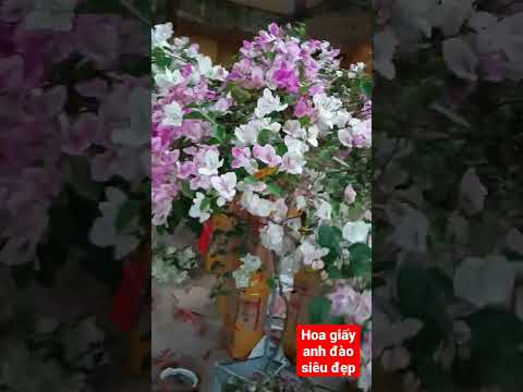 Video Hoa giấy ảnh đào siêu đẹp - youtube