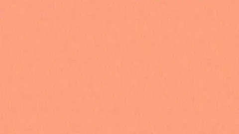 Roger Waters-Wait For Her (Lyrics and photos)