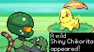 How I Found a Shiny Chikorita in the Safari Zone in PokeMMO