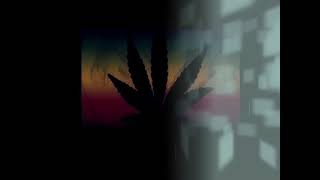 Viral 2021  Linting Daun akustik Cover Bulan Sutena