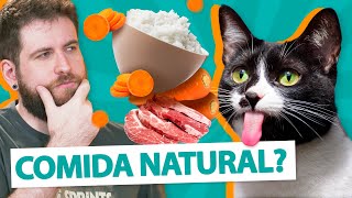 TUDO SOBRE ALIMENTAÇÃO NATURAL PARA GATOS by Manual Pet 26,583 views 2 years ago 4 minutes, 53 seconds