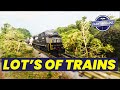 Lot's of N Scale Train Action thumbnail