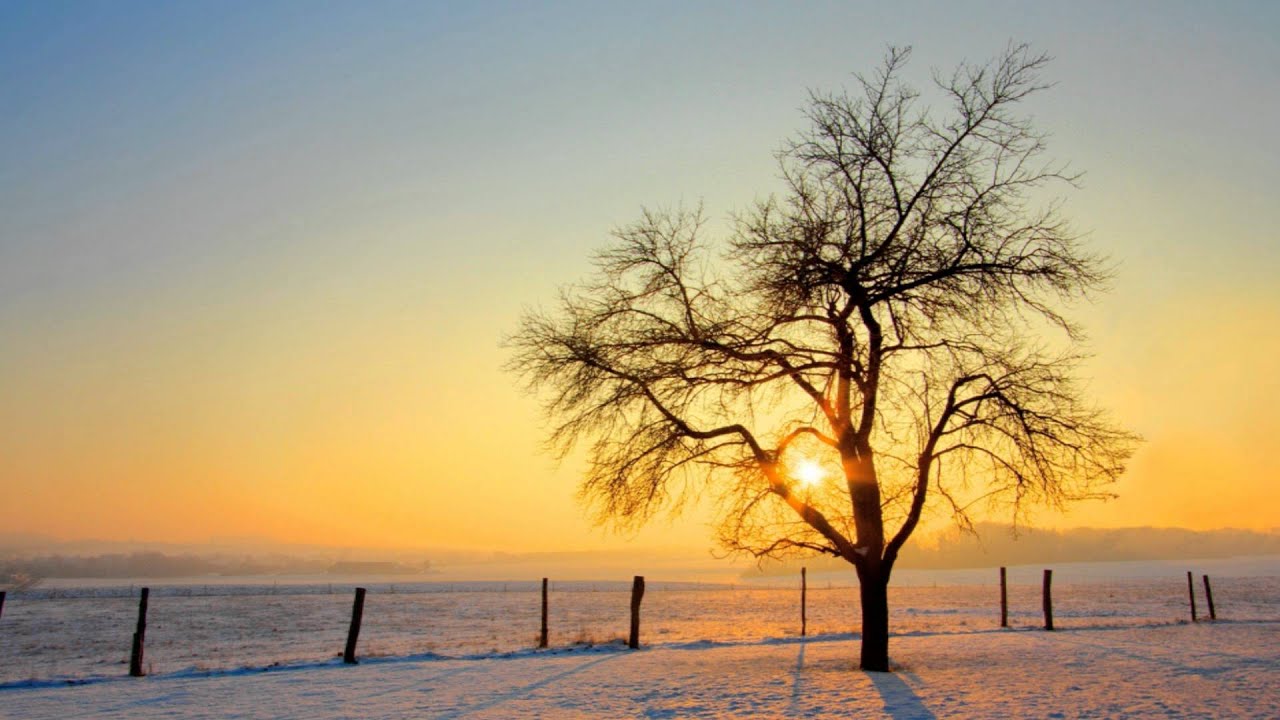 Смотреть «Blue Tente Pres. North Sight - Runaway (ReOrder Bangin' Mix) HD» на YouTube Смотреть «Blue Tente Pres. North Sight - Runaway (ReOrder Bangin' Mix) HD» на YouTube