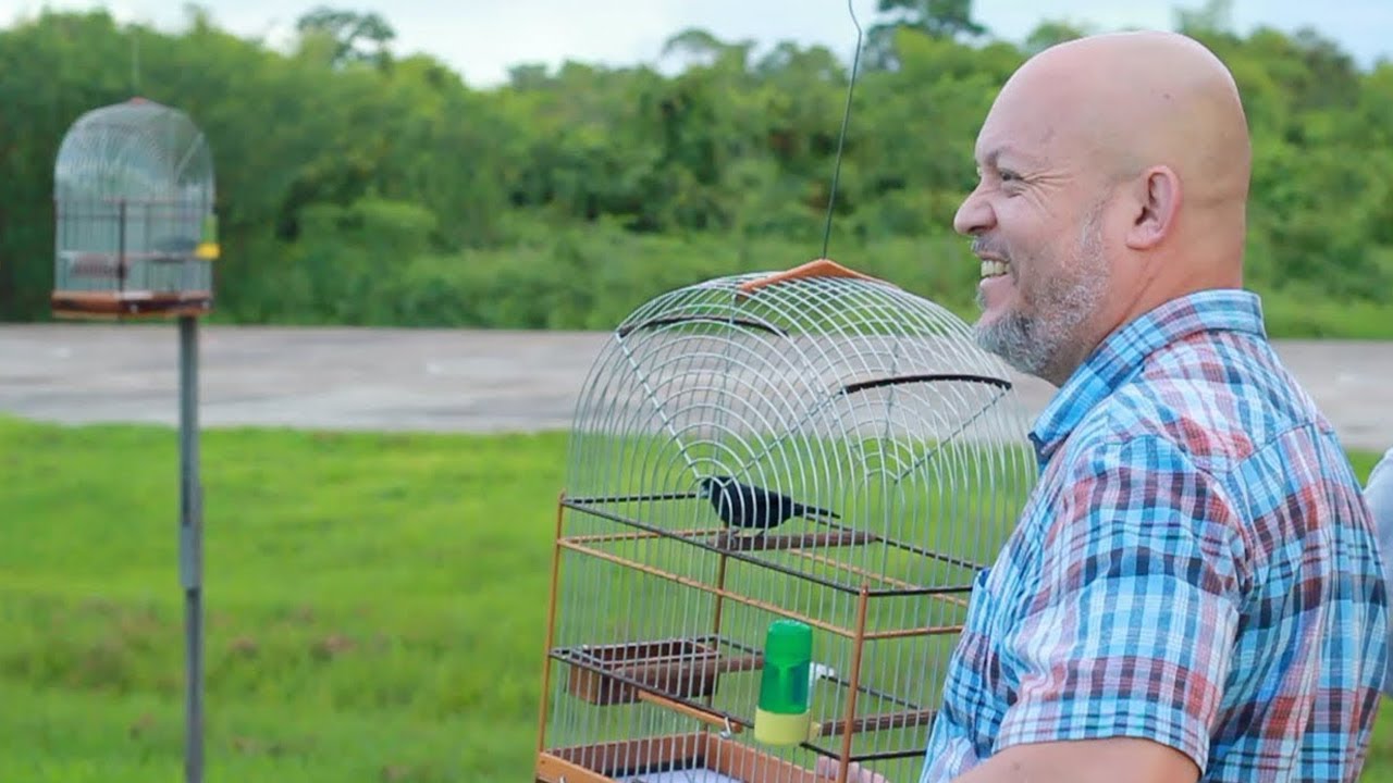 Mijn Passie, Mijn Vogels | Zangvogelsport Suriname | Korte Documentaire