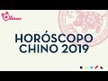 Horóscopo Chino 2019: Conoce cómo será tu año del cerdo - La Mañana