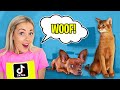 We Tested Viral TIKTOK Life HACKS on Our Pets