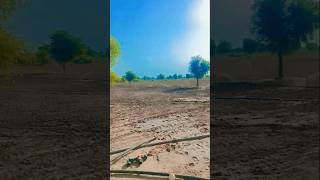 #farmingsimulator #trendingshorts #mhacommunity#lovemusic #automobile