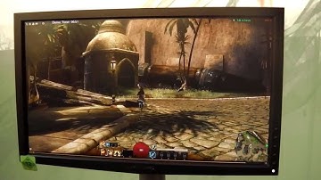 ►Guild Wars 2 - Exploring Divinity