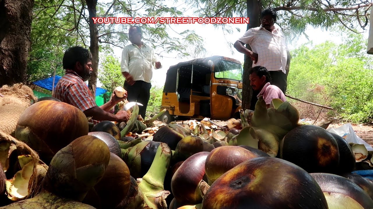 rs 80 per dozen | fresh toddy palm fruit | taati munjalu | HMT, Jeedimetla, Hyderabad | Street Food Zone