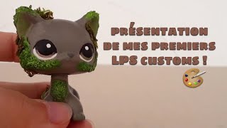 Présentation De Mes Premiers Lps Customs 