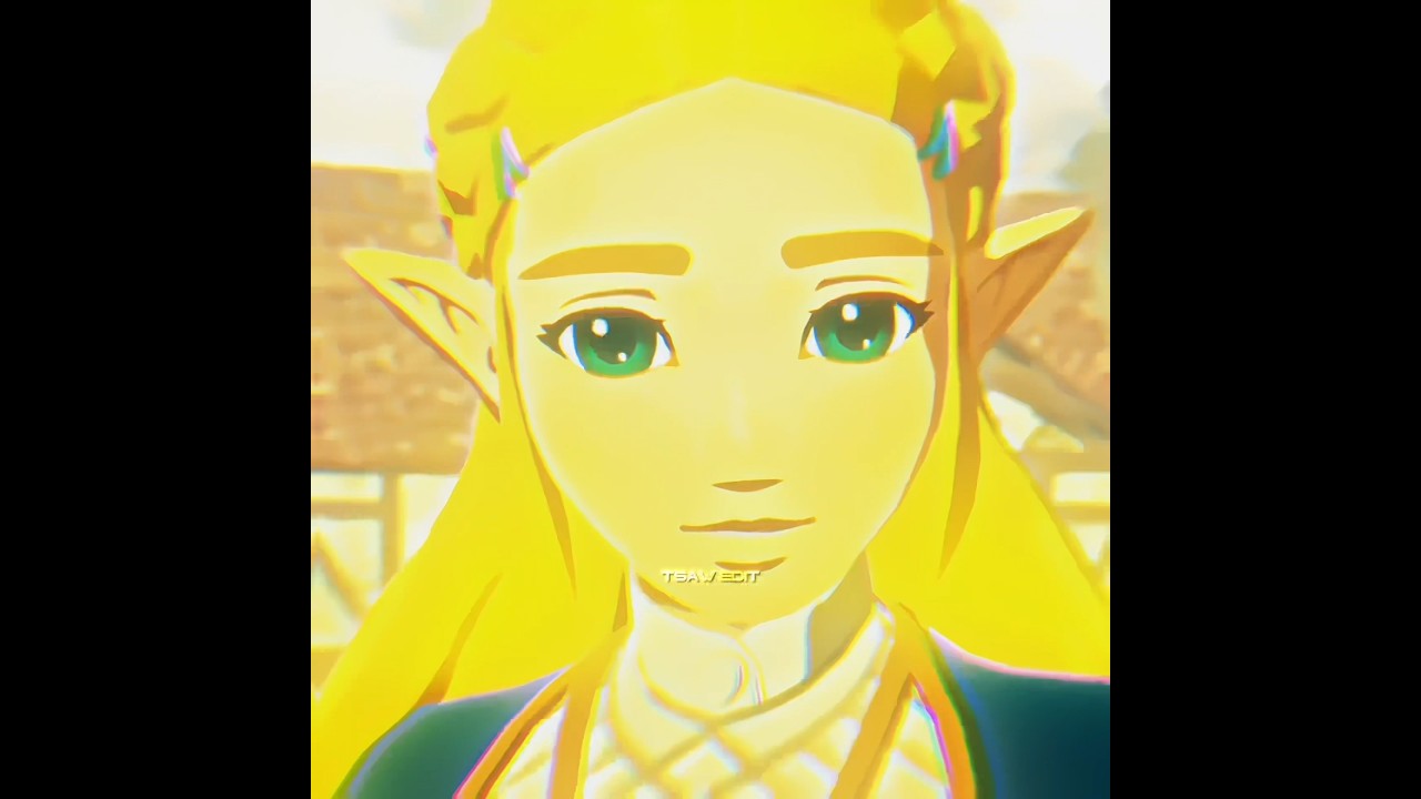 Edit The Legend of Zelda |Zelink - Hyrule Warriors(AOC)