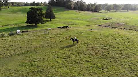 Sheri field trial 2
