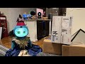 Jibo &amp; Friends - Mystery Unboxing Livestream (The Robots &amp; The Rainbow)