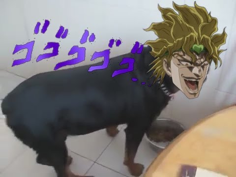 dog-sounds-exactly-like-dio