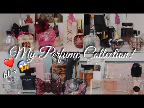 My Designer Perfume Collection | 2019