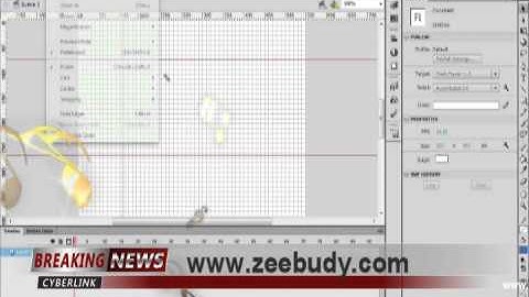 Adobe Flash Professional CS6 Using Guides and Rulers