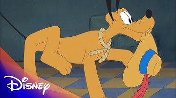 Pawsitively Amazing Facts About Pluto | Disney