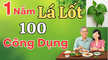 LÁ LỐT: Thảo Dược Quý Trong Vườn Nhà – Tác Dụng Bất Ngờ Cho Sức Khỏe