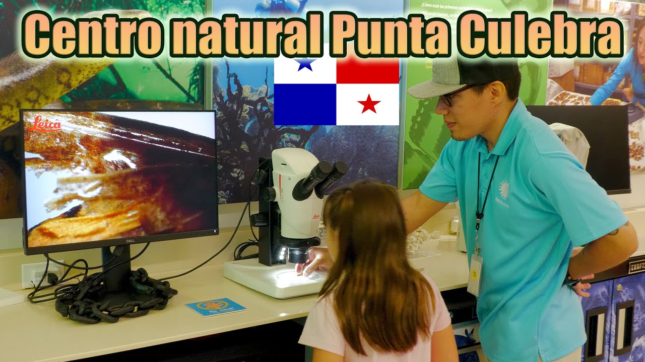 Centro natural Punta Culebra : Musée dans la ville de Panamá. Amador Causaway