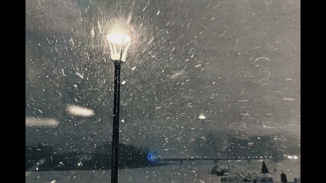 Something buried years ago