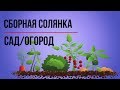 🌞СБОРНАЯ СОЛЯНКА 🏡САД/ОГОРОД🏡