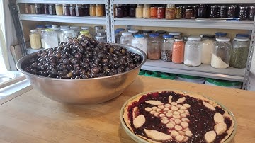Preserving a Bushel of Concord Grapes ~ Grape Pie and Canned Juice