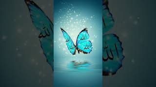 #facts #randomfacts #best #dj #dj #love #love #lifeisbutadream #hijab #hijab #nothingimposibleinthio