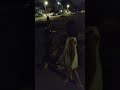 100 hungry cats