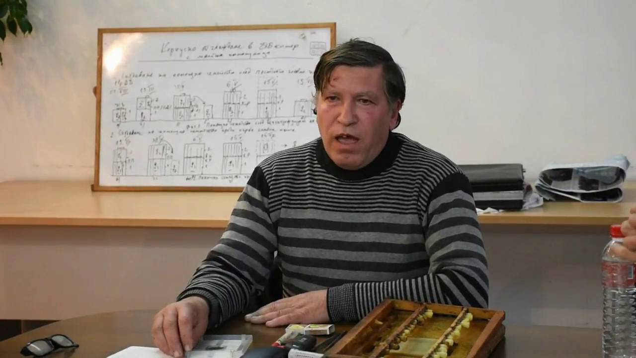 Тихомир Стоицов, ПЧЕЛНИ МАЙКИ