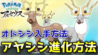 アルセウス オドシシ入手方法 アヤシシ進化方法 バリア ラッシュ取得条件 ポケモン レジェンズ Youtube アルセウス オドシシ入手方法 アヤシシ進化方法 バリア ラッシュ取得条件 ポケモン レジェンズ Youtube