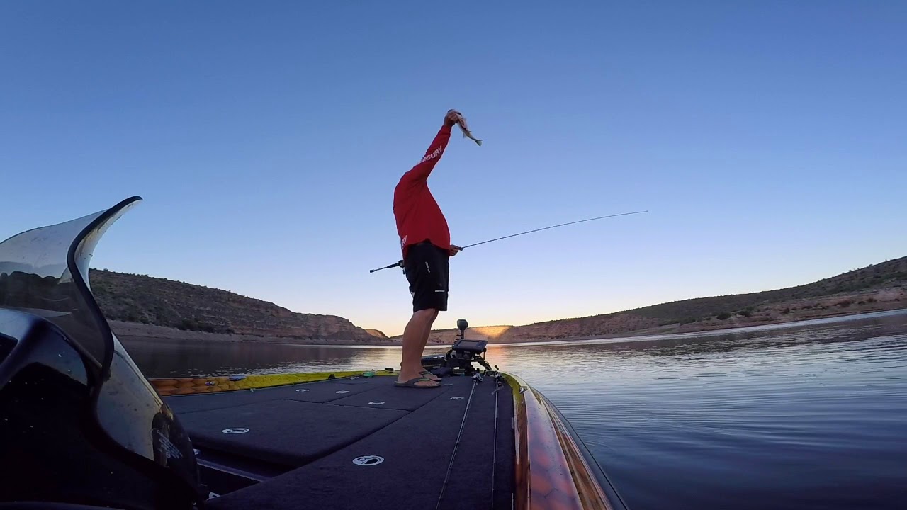 Striper Fishing With the Arizona Fishing Guides YouTube
