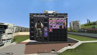 Information GMod TTT pepe.network - Inventory Search/Sort/Compress Showcase Guide